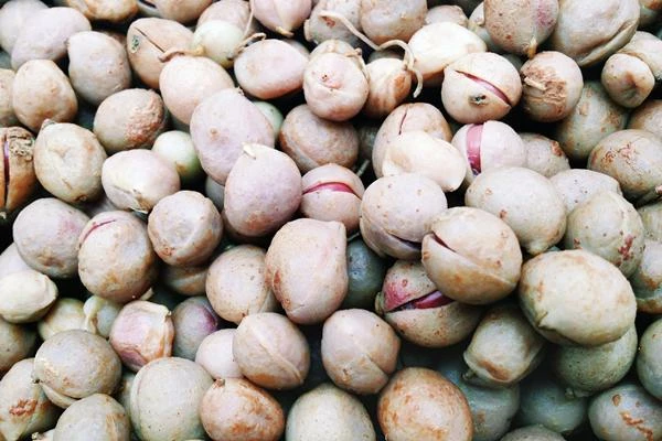 Which Country Produces the Most Bambara Beans in the World?